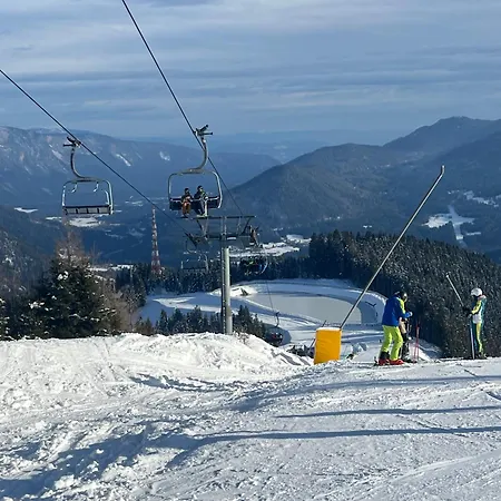 Dear Veronica Апартаменты Тарвизио